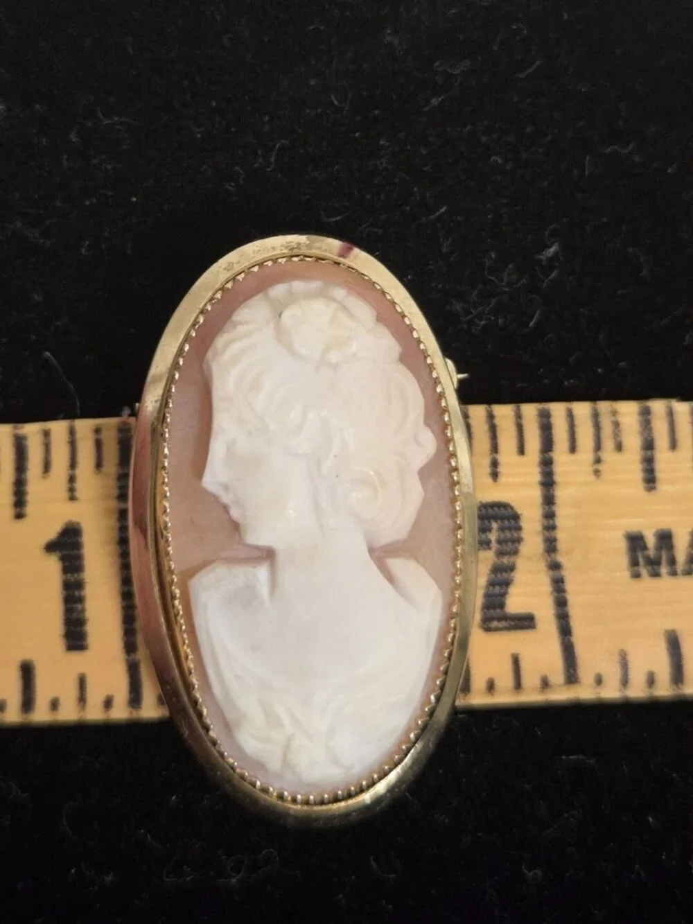 Vtg Catamore Shell Cameo Brooch 12K Gold Filled Hand Carved 1/20 12K GF Pin